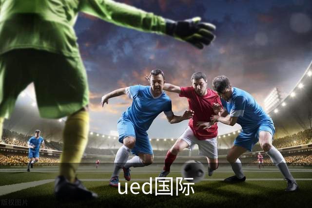 ued国际公司介绍图